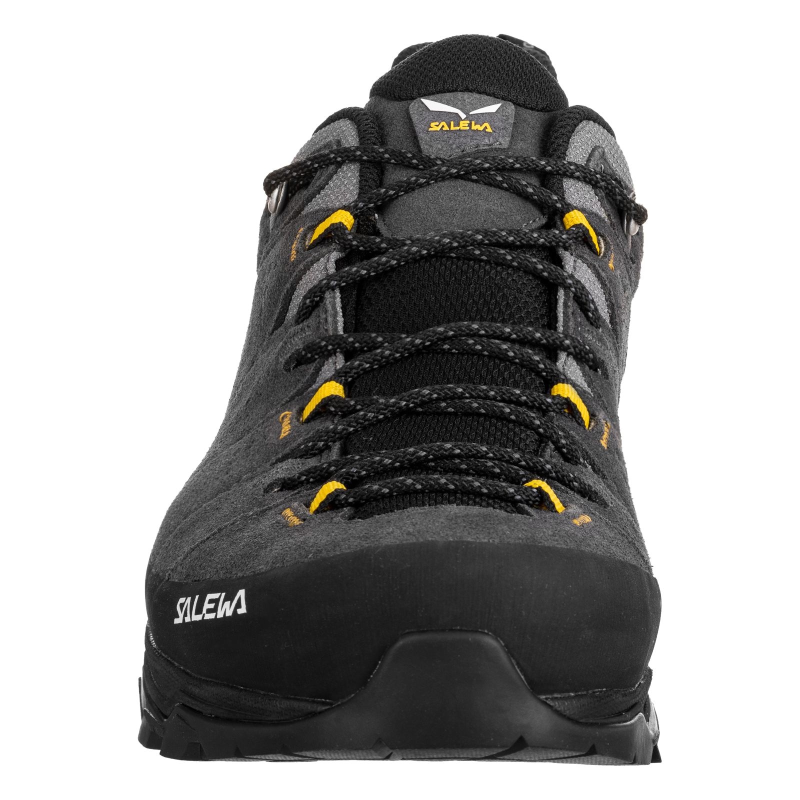 Salewa Alp trainer 2 GTX EU 42, Onyx/Black Pánské trekové boty (obrázek 5)