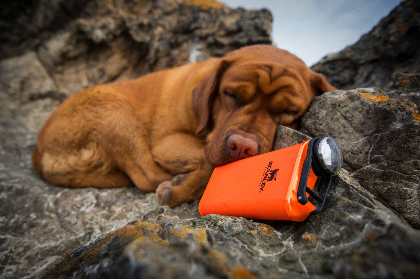 Stanley Classic series mossy oak Placatka/butylka - Obrázek 6