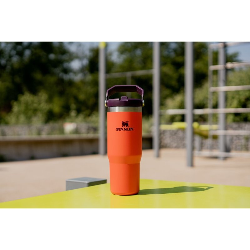 Stanley TUMBLER se slámkou/brčkem tigerlily Termohrnek (obrázek 3)
