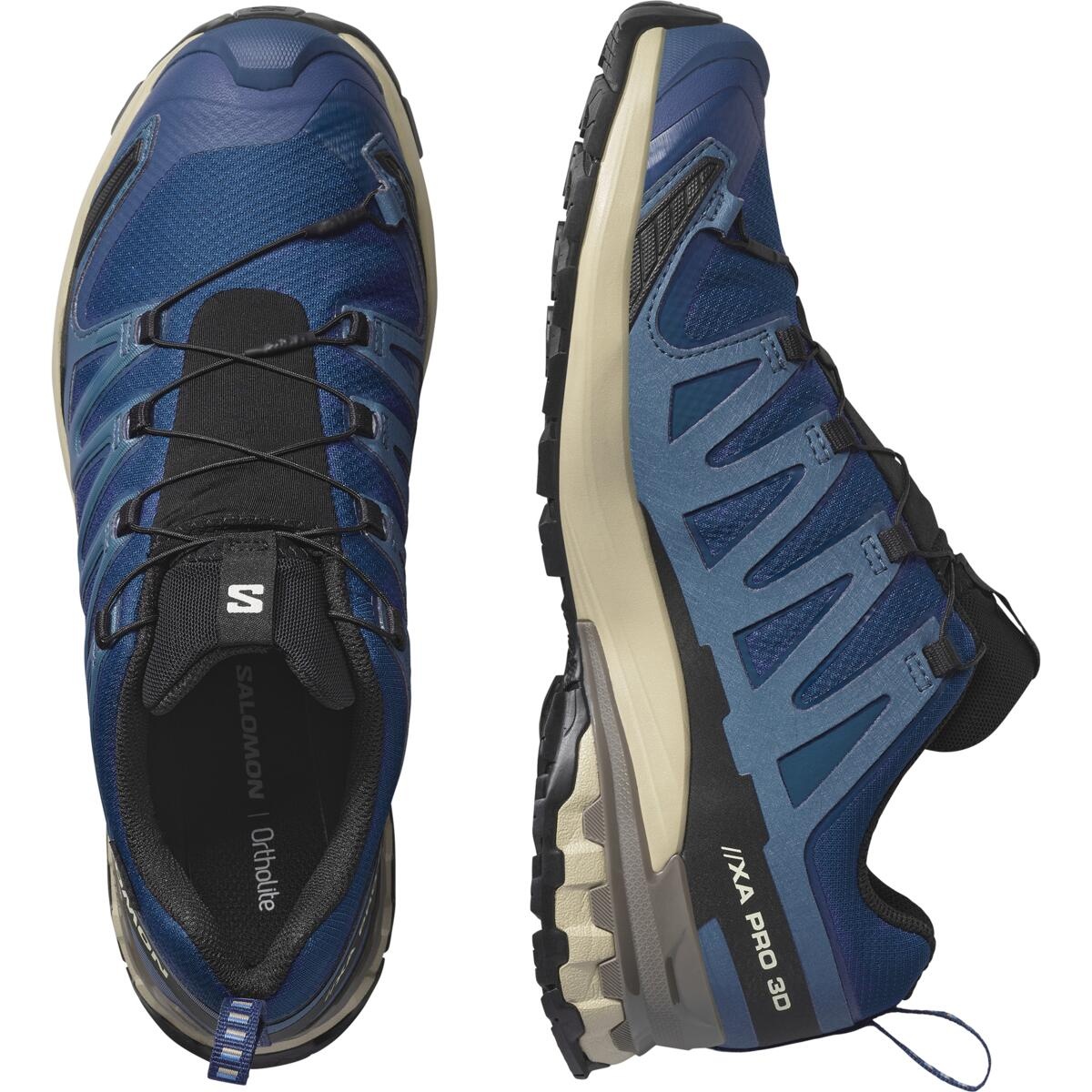 Salomon Xa Pro 3D V9 GTX EU 44, Poseidon/White Pepper/Falcon Pánské boty (obrázek 3)