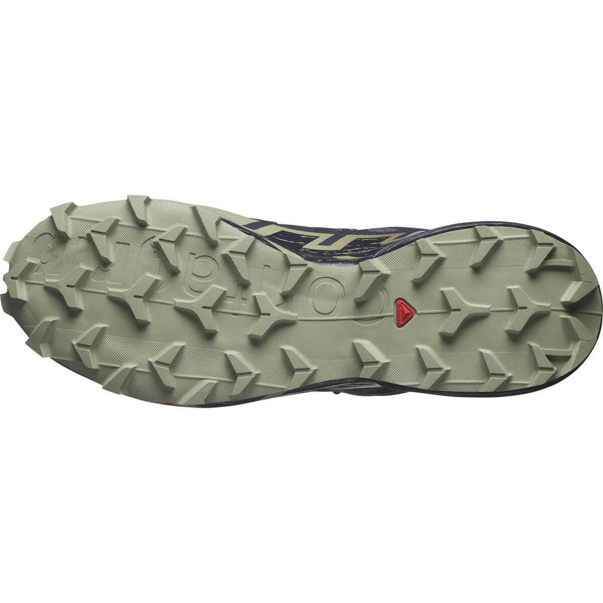 Salomon Speedcross 6 GTX EU 46, Grisai/Carbon/Tea Pánské běžecké boty