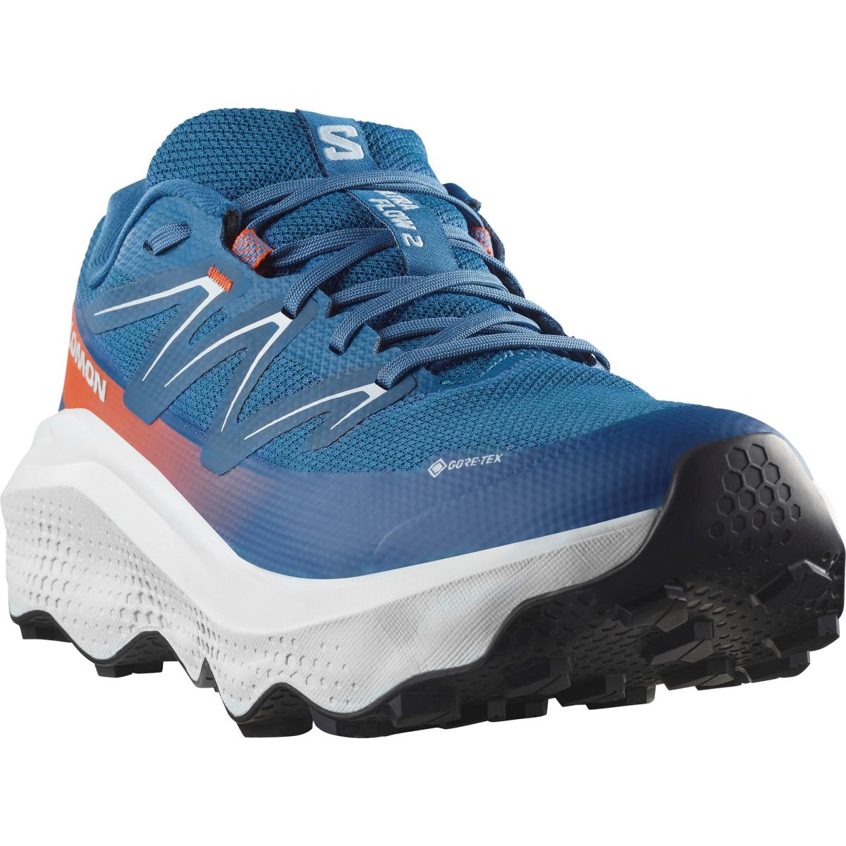 Salomon ULTRA FLOW 2 GTX EU 44 ⅔, Dark Blue/Ballad Blue/Cherry Tomato Pánské boty