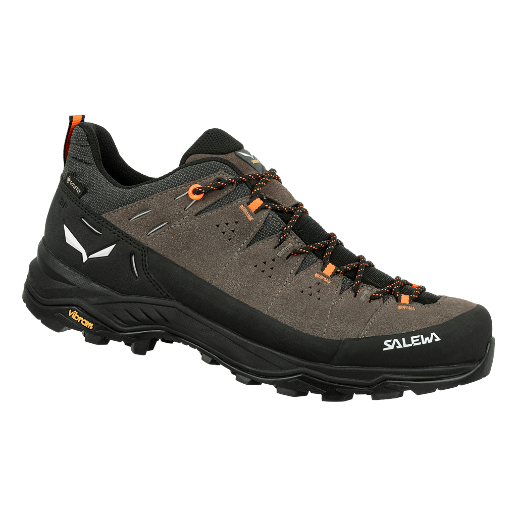 Levně Salewa SALEWA Alp trainer 2 GTX EU 42 ½, Bungee Cord/Black Pánské trekové boty