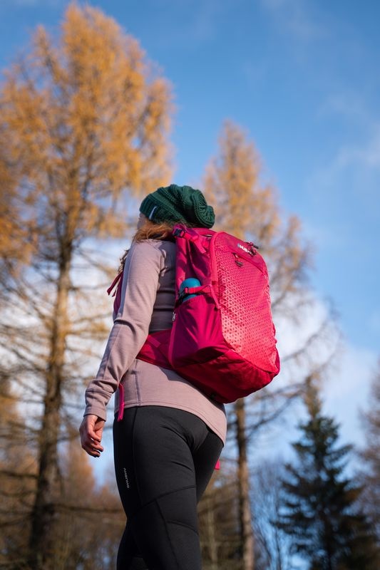 Husky Campus 30l magenta Turistický batoh (obrázek 4)