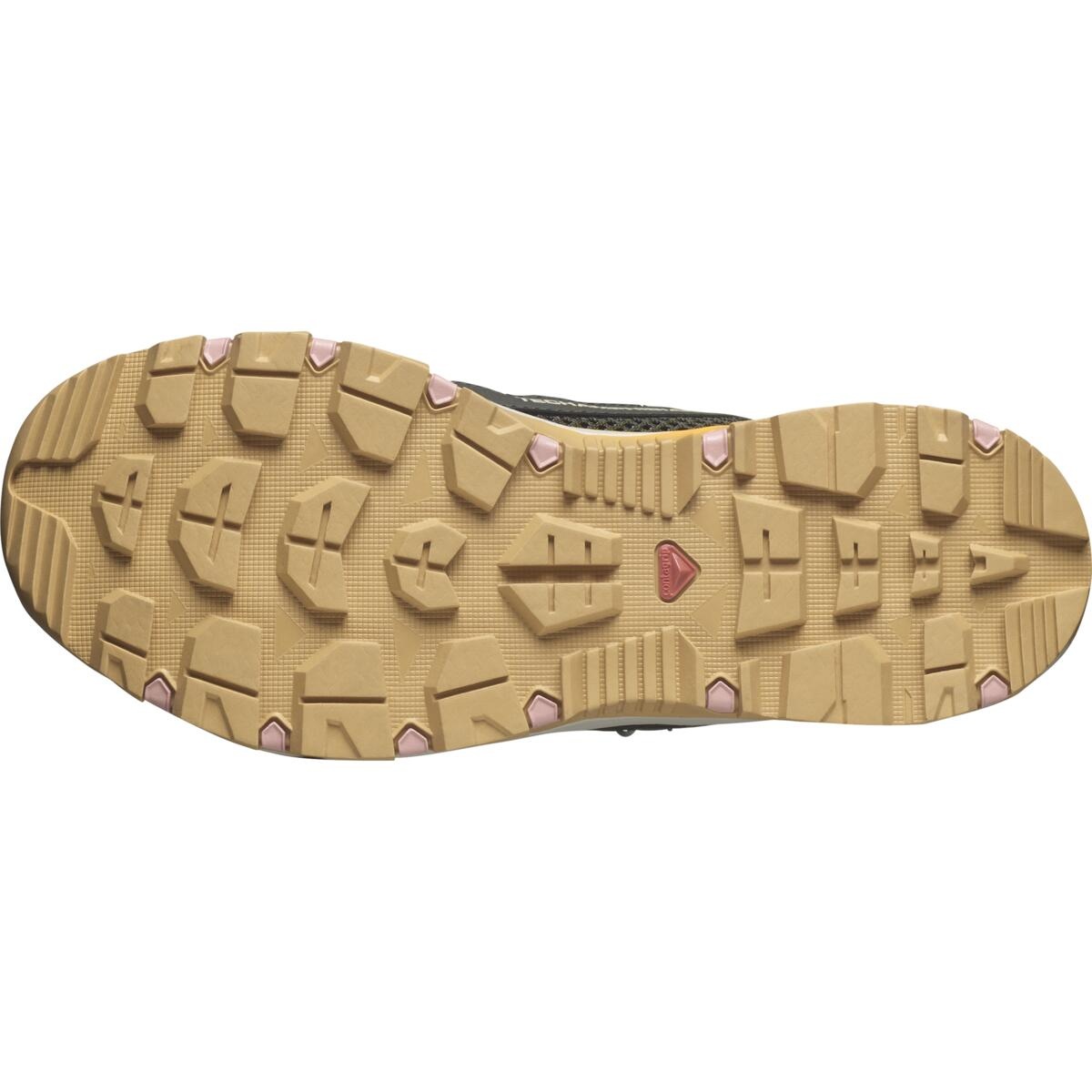 Salomon Techamphibian 5 EU 39 ⅓, Peat/Rainy Day/Hyma Pink Dámské boty