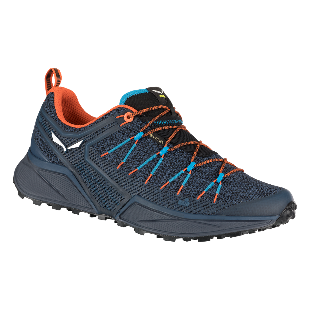 Levně Salewa Dropline GTX EU 44, Dark Denim/Black Pánské boty